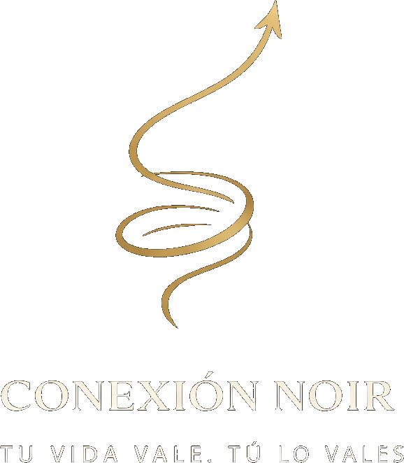 Conexión Noir